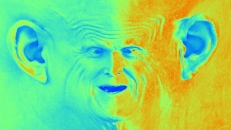 heatmap-face